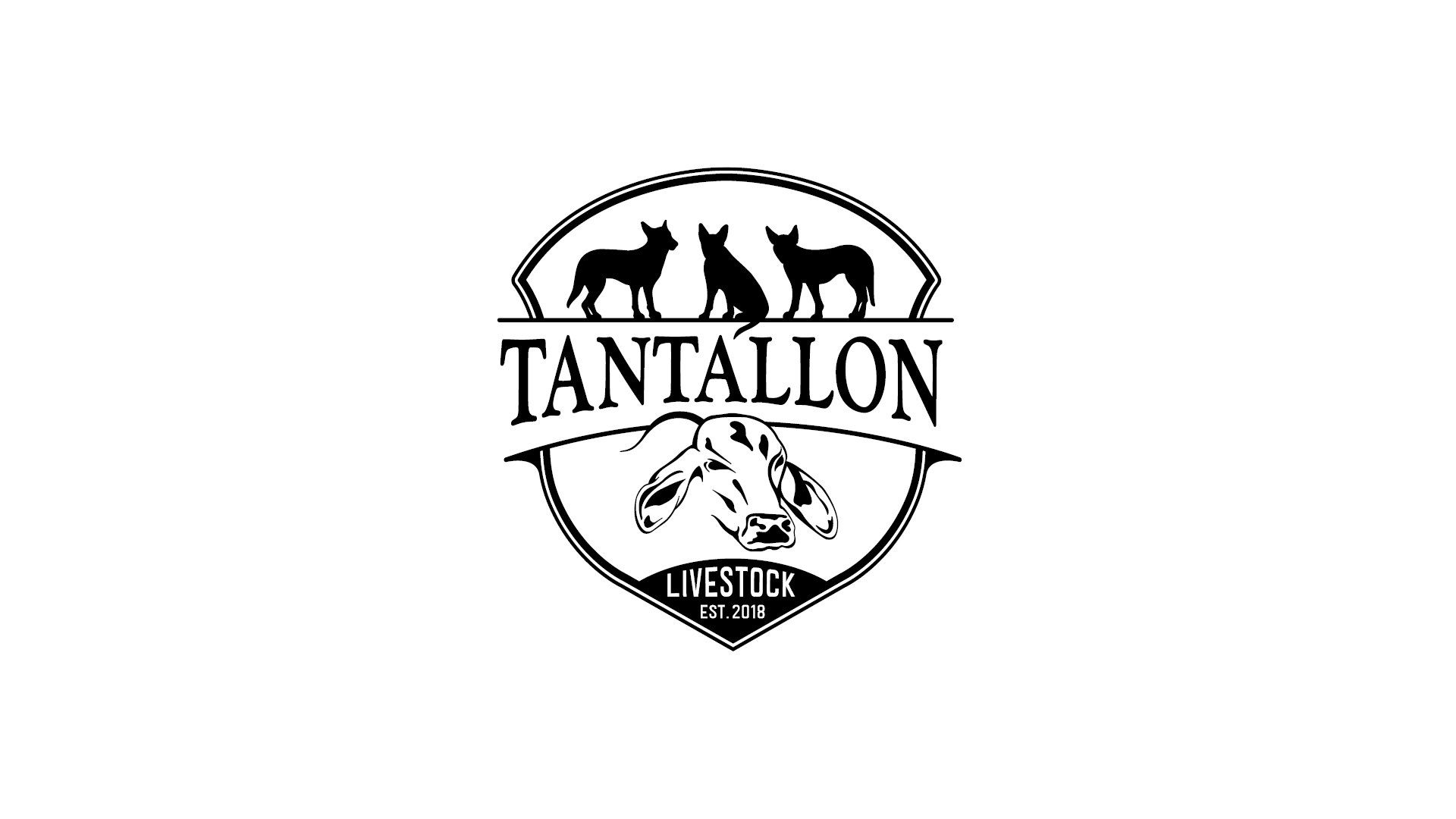 Tantallon Livestock Logo and Brand Design - Saunders Design Group