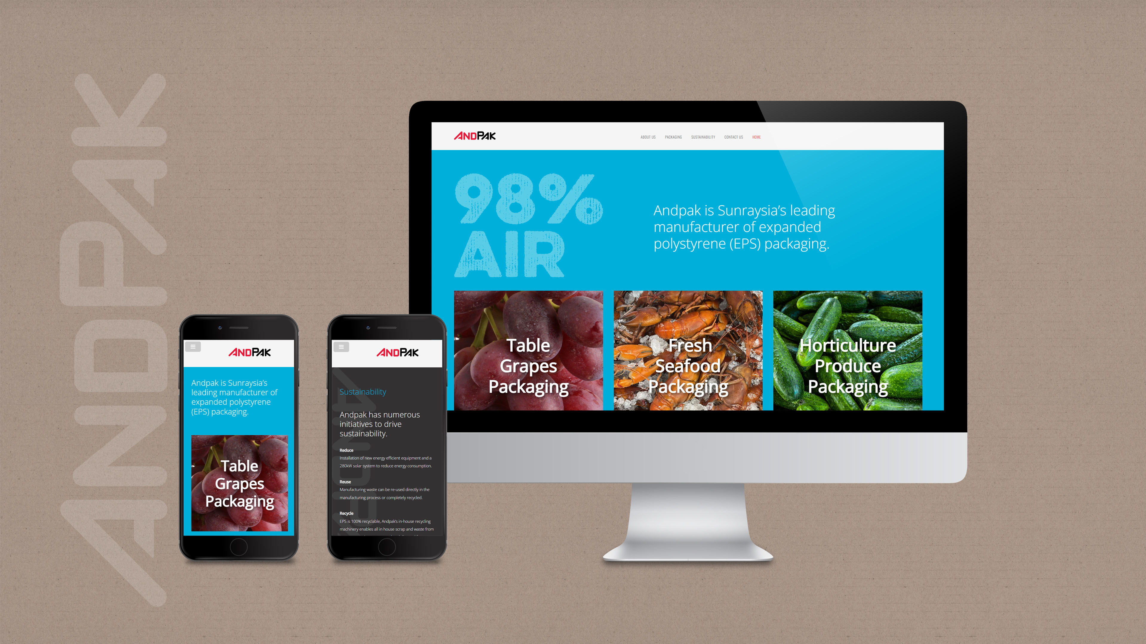 AndPak Branding and Website Design - Saunders Design Group
